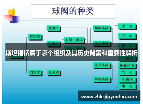 斯坦福桥属于哪个组织及其历史背景和重要性解析